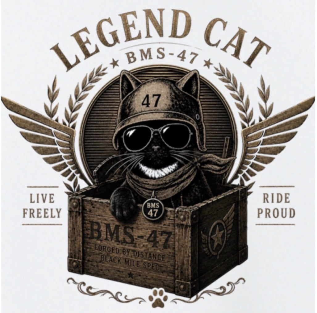 HANGAR LEGEND CAT TEE/ 白
