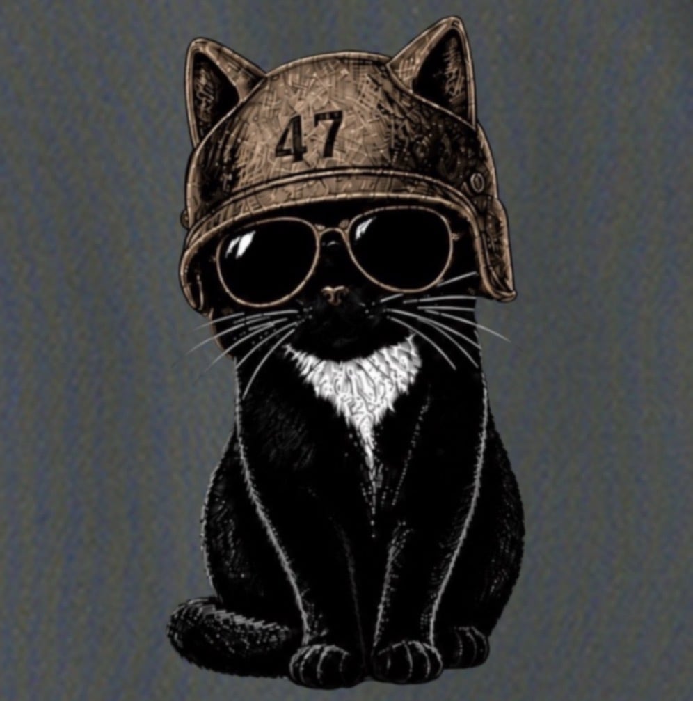 BMS-47 CLASSIC GARAGE CAT TEE/灰