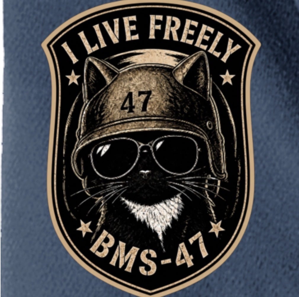 BMS-47 CAT 47 DRY TEE/青