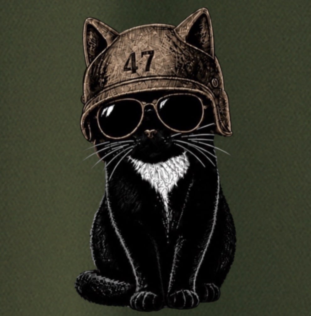 BMS-47 CLASSIC GARAGE CAT TEE/緑