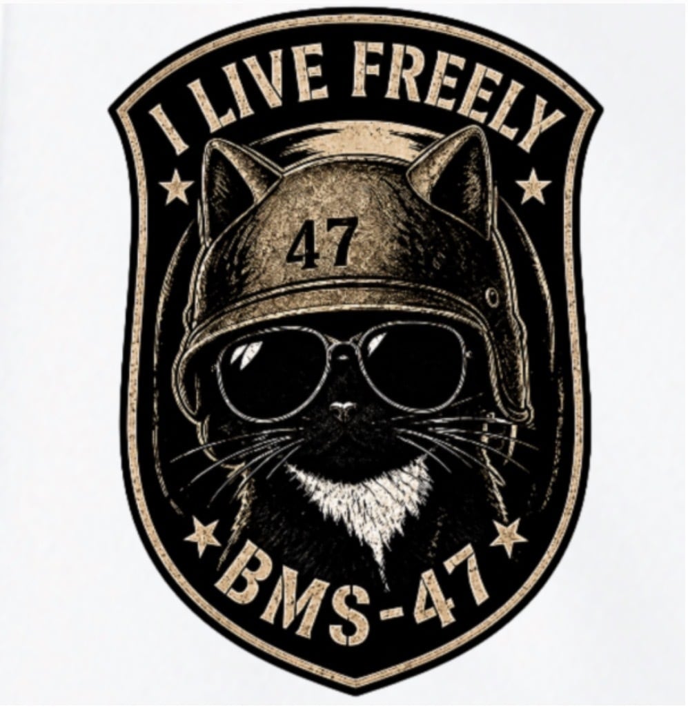 BMS-47 CAT 47 DRY TEE/白