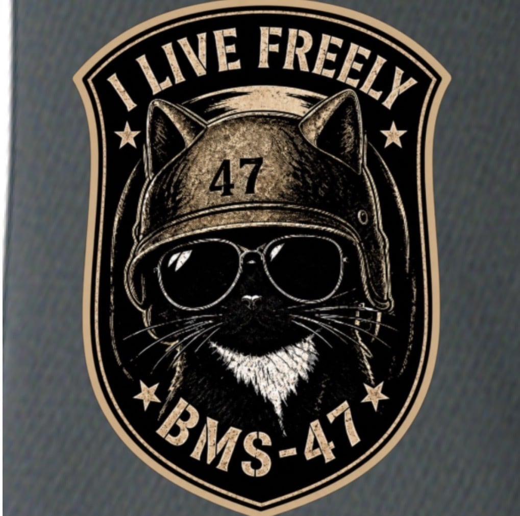 BMS-47 CAT 47 DRY TEE/灰