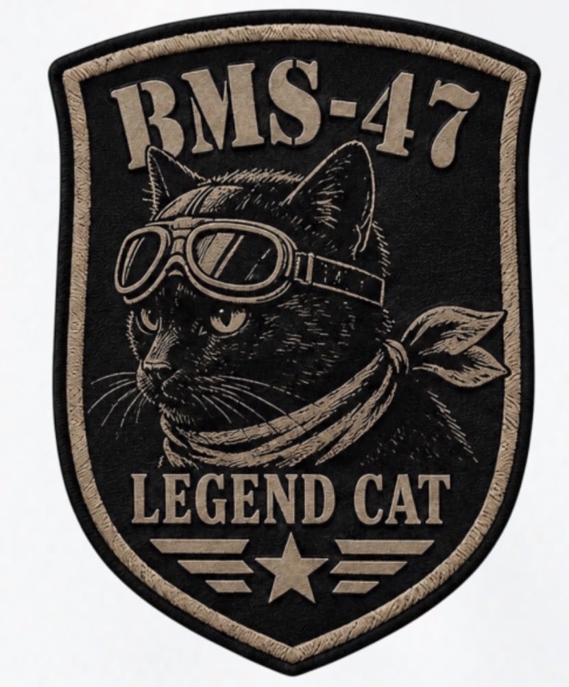 HANGAR LEGEND CAT TEE/ 白