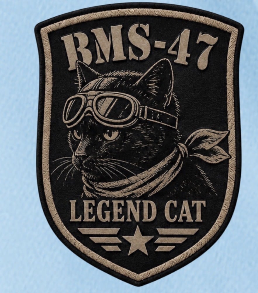 HANGAR LEGEND CAT TEE/ 水色