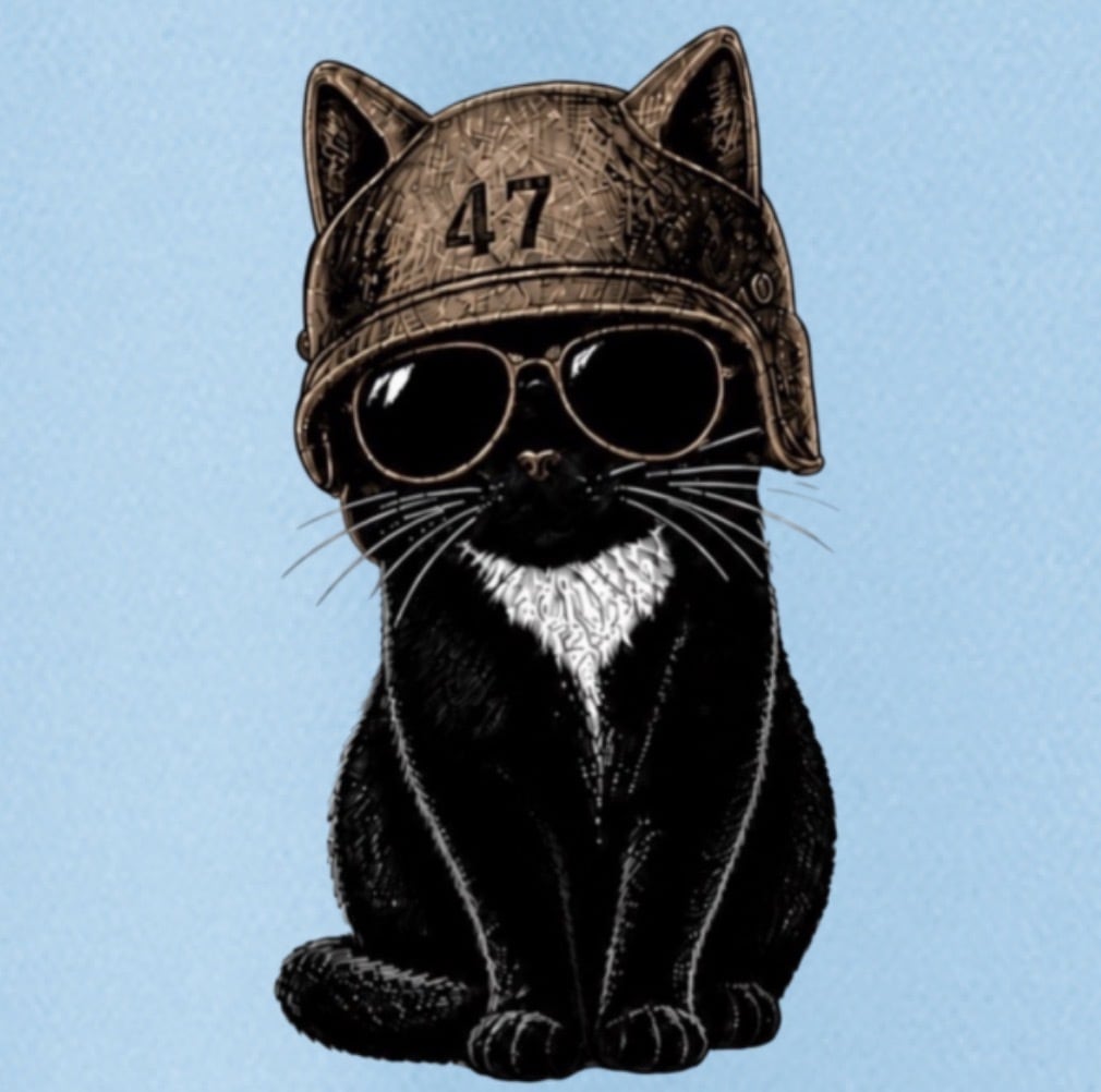 BMS-47 CLASSIC GARAGE CAT TEE/水色