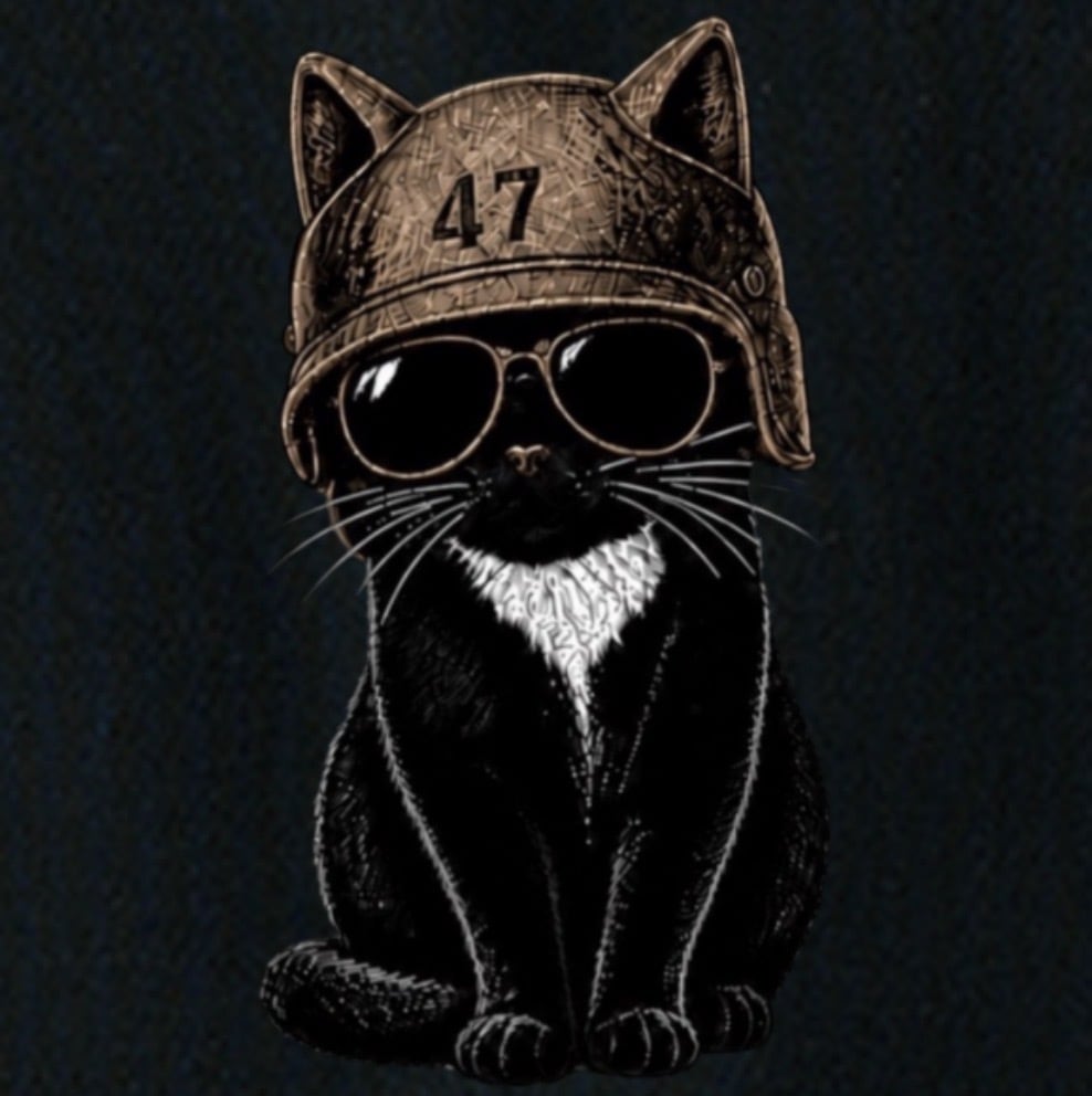 BMS-47 CLASSIC GARAGE CAT TEE/黒