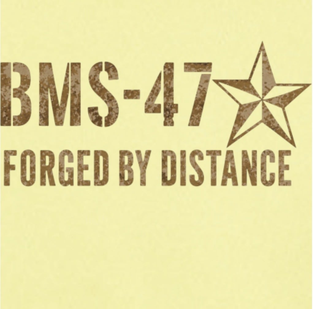 BMS-47 BLACK MILE CAT ライトドライジップパーカー