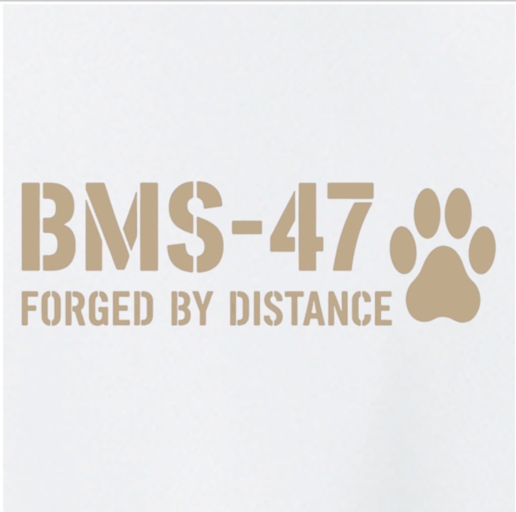 BMS-47I  LIVE FREELY CAT TEE／白
