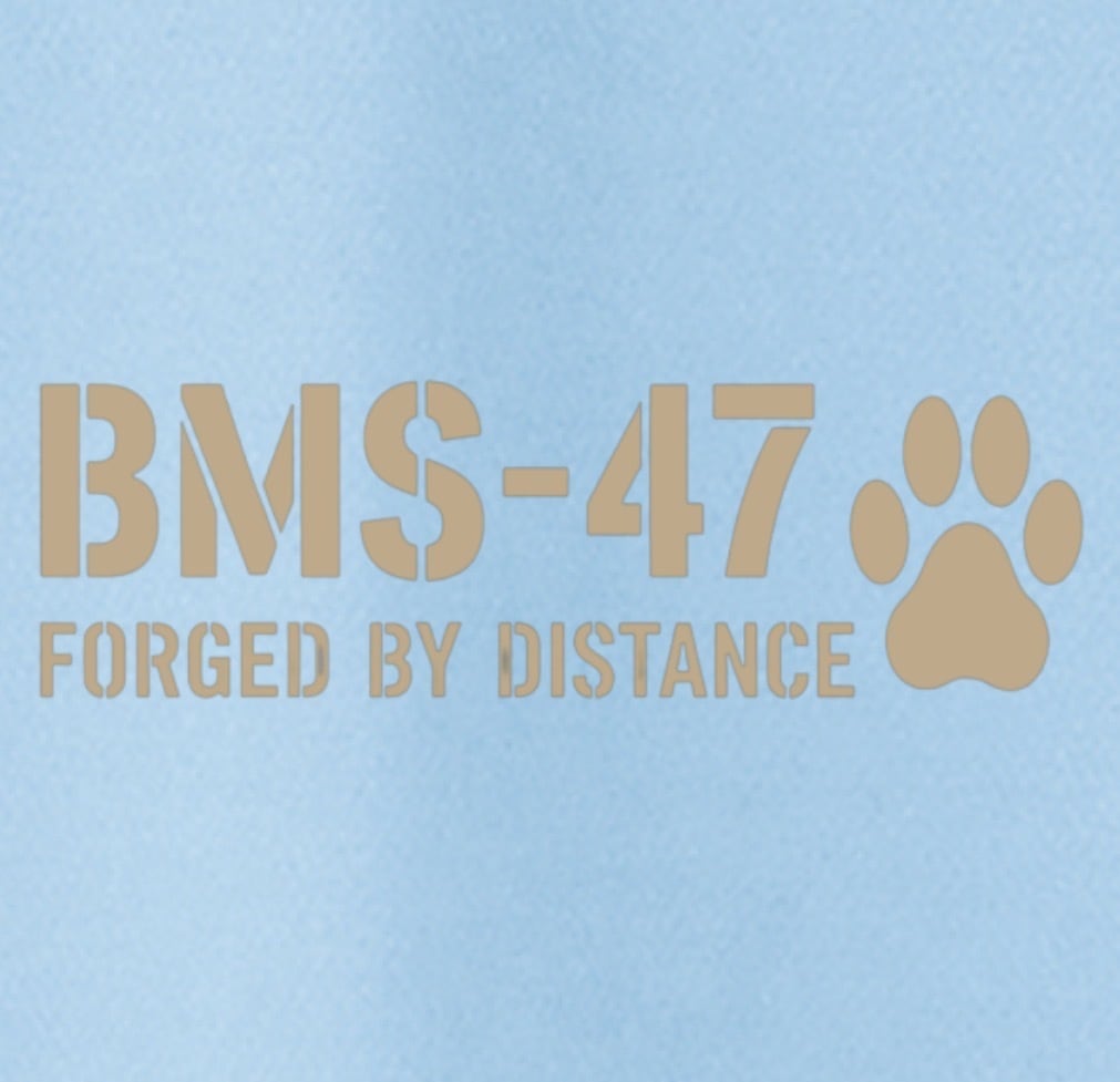 BMS-47I  LIVE FREELY CAT TEE／水色