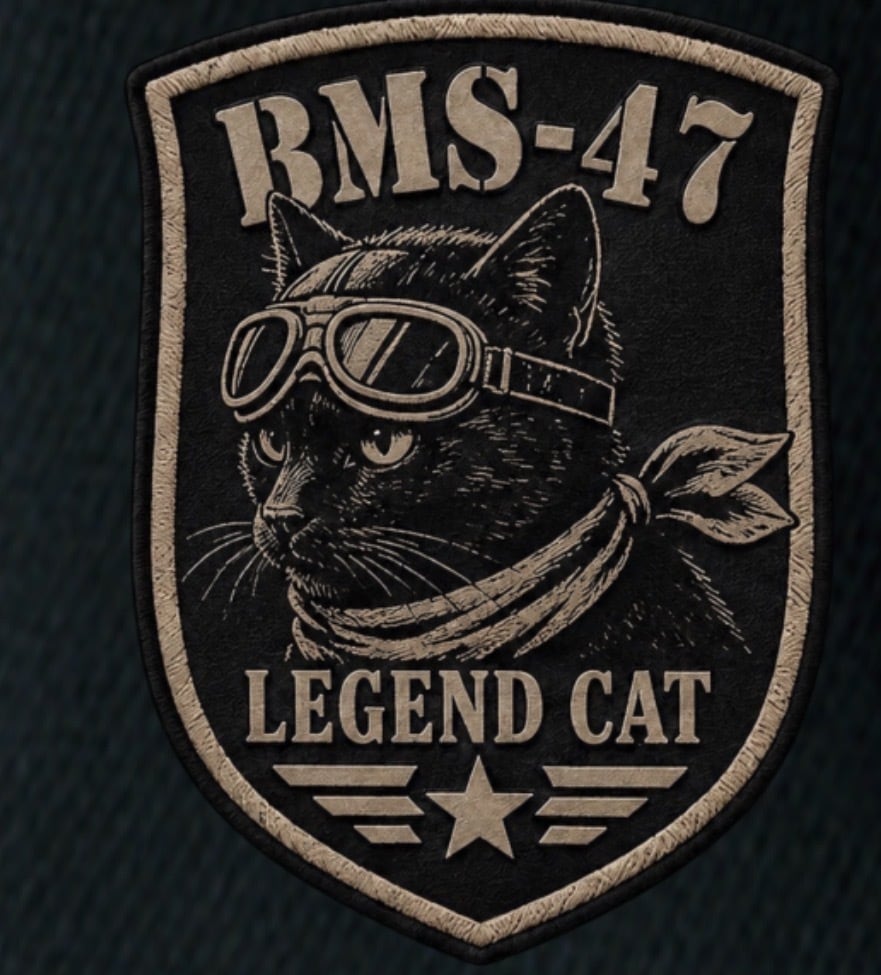 HANGAR LEGEND CAT TEE/ 黒