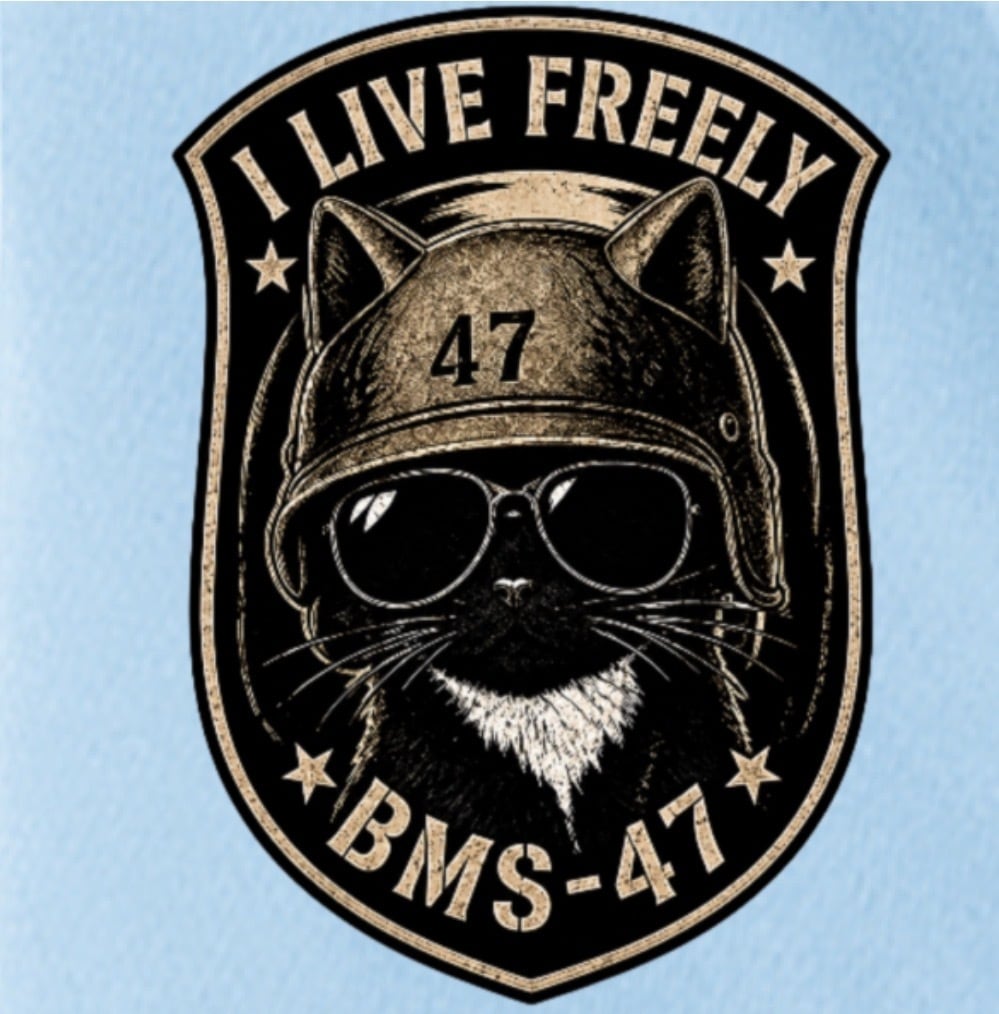 BMS-47 BLACK MILE SPEC TEE “BLACK CAT”/水色