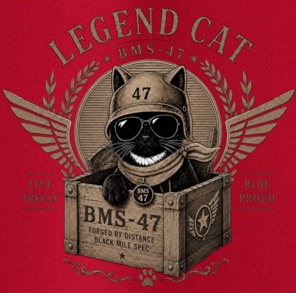 HANGAR LEGEND CAT TEE/ 赤