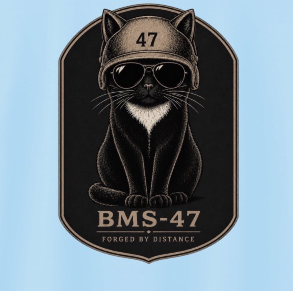 BMS-47 CLASSIC GARAGE CAT TEE/水色