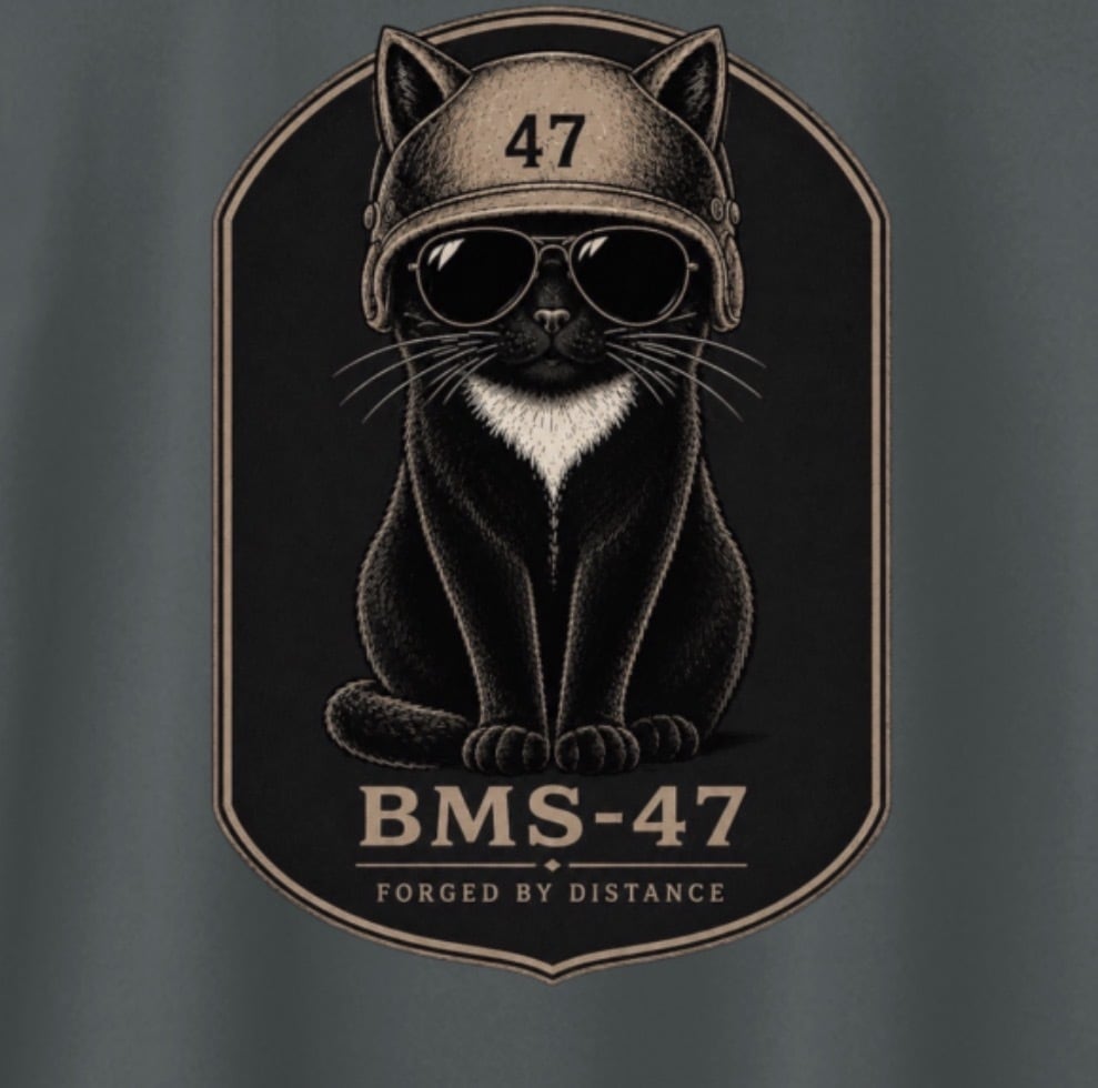 BMS-47 CLASSIC GARAGE CAT TEE/灰
