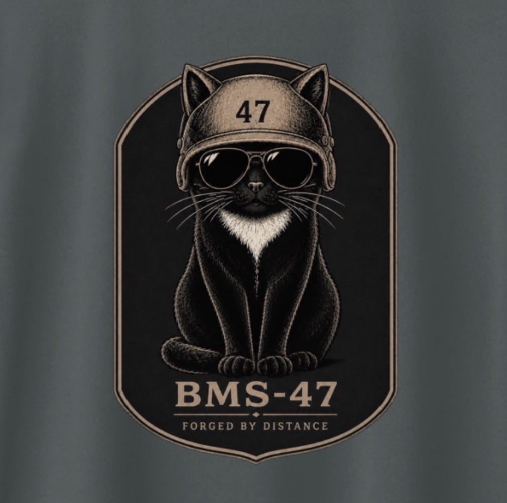 BMS-47 CLASSIC GARAGE CAT TEE/灰