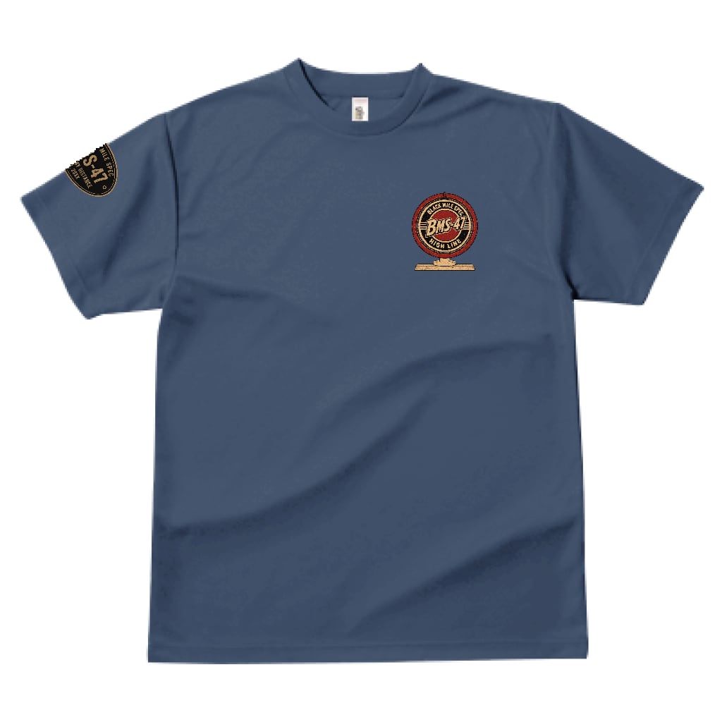 BMS-47  “TWIN PUMP” DRY TEE