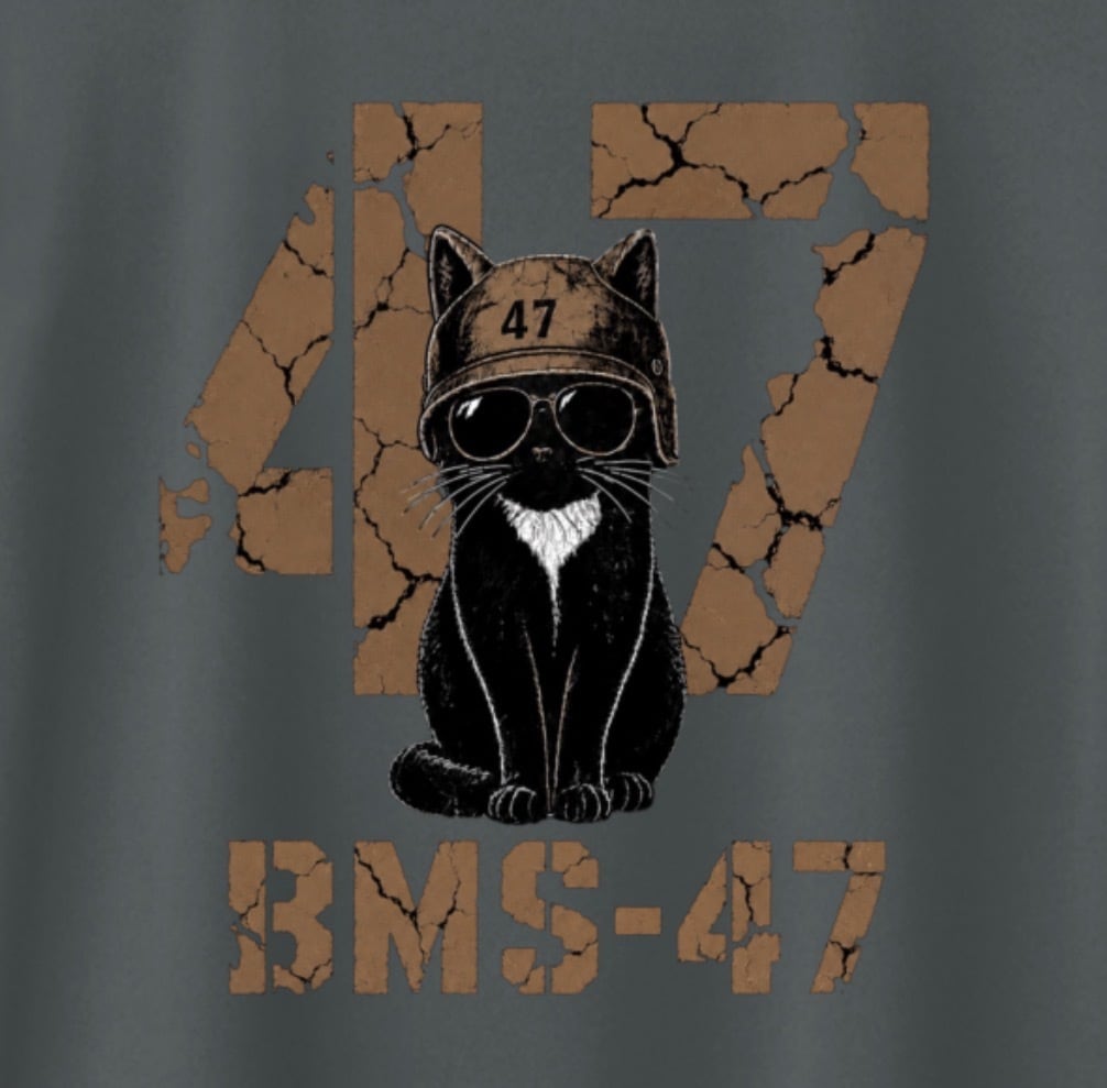 BMS-47 CAT 47 DRY TEE/灰