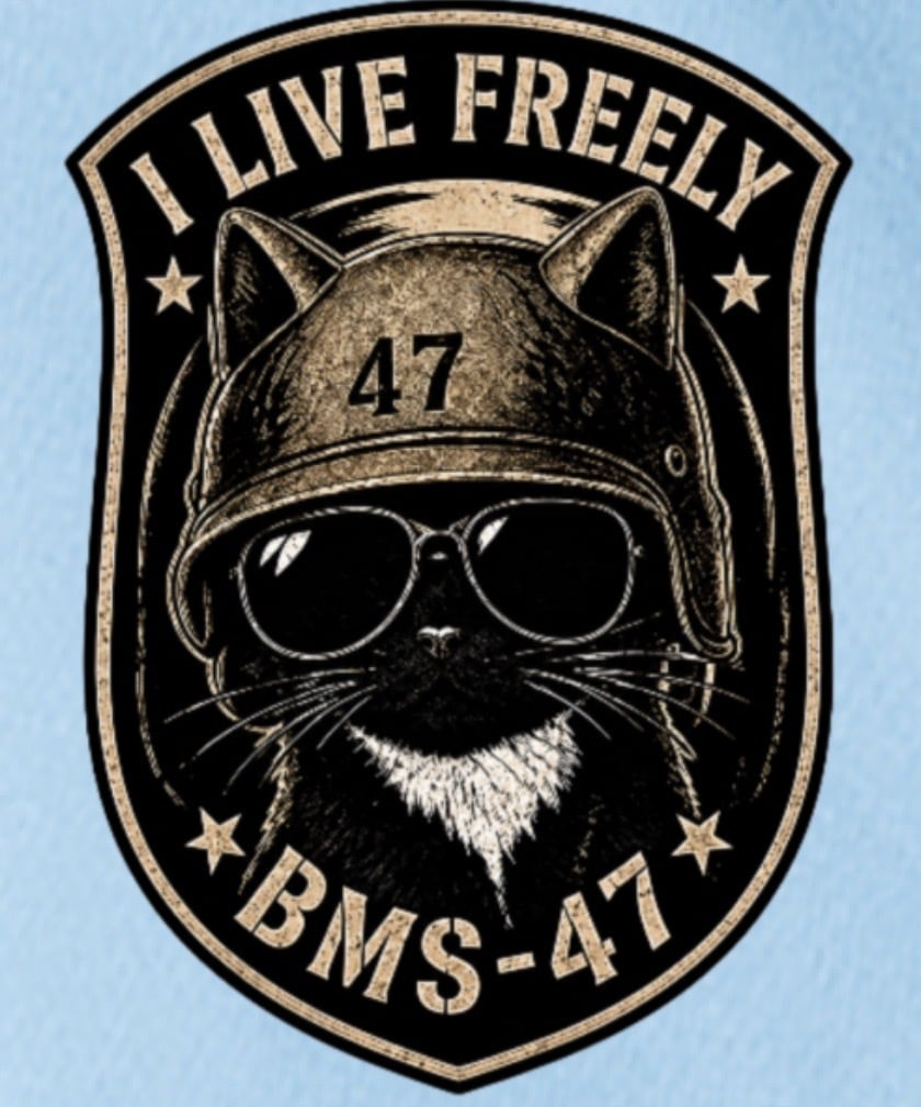 WE LIVE FREELY ROUGH ROADS CAT TEE／水色