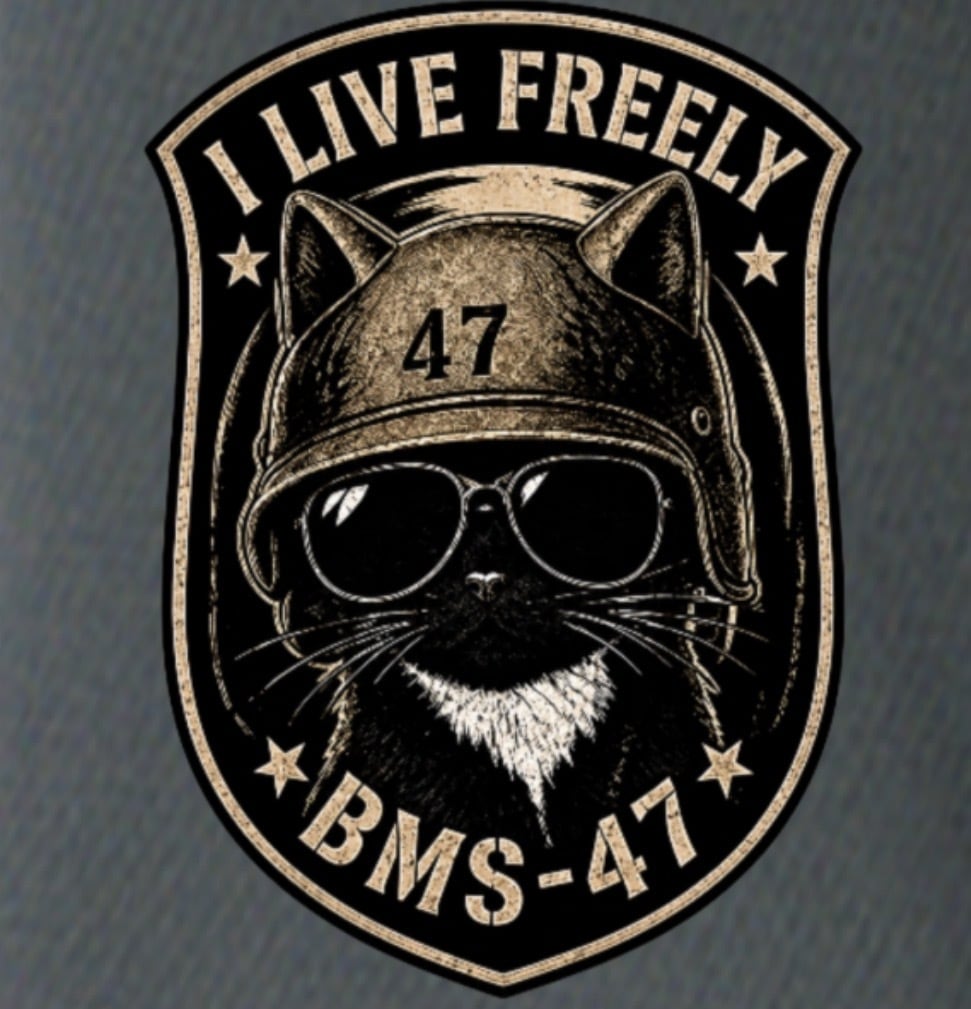 BMS-47 CLASSIC GARAGE CAT TEE/灰