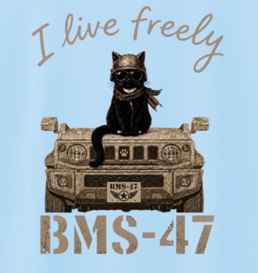 I LIVE FREELY ROUGH ROADS CAT TEE／水色